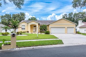 2807 Bent Leaf Dr, VALRICO