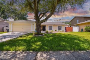 3004 Rosebud Ln, BRANDON 3004 Rosebud Ln, BRANDON