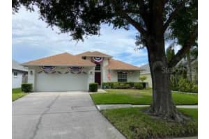10257 Oasis Palm Dr, TAMPA