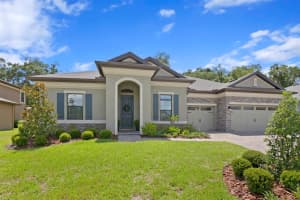 3011 Albion Walk Pl, VALRICO