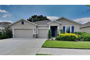 2503 Knight Island Dr, BRANDON 2503 Knight Island Dr, BRANDON