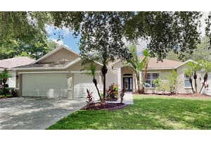 1145 Lumsden Trace Cir, VALRICO 1145 Lumsden Trace Cir, VALRICO