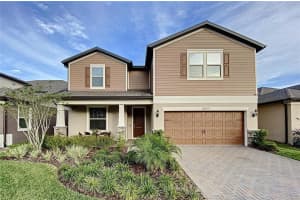 18929 Birchwood Groves Dr, LUTZ