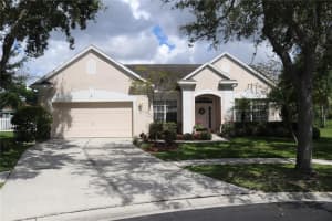 12903 Greenville Ct, TAMPA