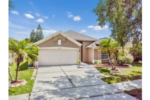 10273 Oasis Palm Dr, TAMPA