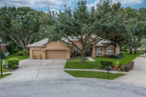 1314 Oxbridge Dr, LUTZ 1314 Oxbridge Dr, LUTZ