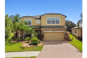 10420 Arbor Groves Pl, RIVERVIEW
