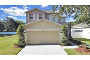 11703 Mango Groves Blvd, SEFFNER