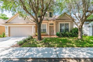 8814 Cypress Hammock Dr, TAMPA