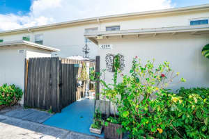 4209 La Sorrento Ct, TAMPA