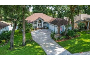 2328 Valrico Forest Dr, VALRICO 2328 Valrico Forest Dr, VALRICO