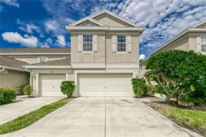 10132 Tranquility Way, TAMPA