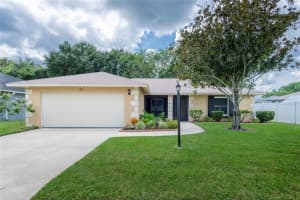 1931 Tarpon Ct, WESLEY CHAPEL 1931 Tarpon Ct, WESLEY CHAPEL