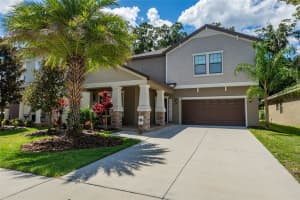11807 Twilight Darner Pl, RIVERVIEW
