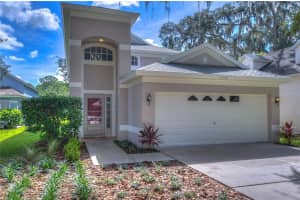 15127 Deer Meadow Dr, LUTZ