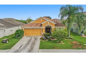 30407 Stapleton St, WESLEY CHAPEL