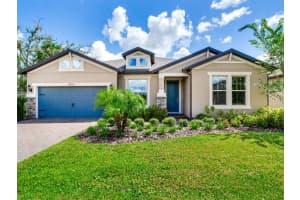 18825 Birchwood Groves Dr, LUTZ