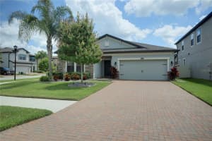10413 Arbor Groves Pl, RIVERVIEW