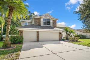 12712 Stanwyck Cir, TAMPA 12712 Stanwyck Cir, TAMPA