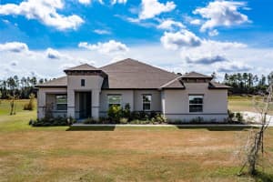 10337 Crestview Heights Ave, THONOTOSASSA