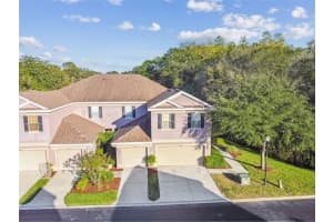 10363 Heron Key Way, TAMPA