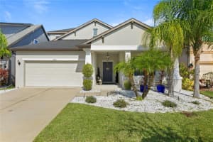 11305 Lazy Hickory Ln, TAMPA