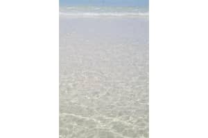 880 Mandalay Ave #c301, CLEARWATER