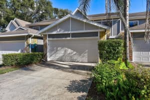 9803 Thornridge Rd, TAMPA