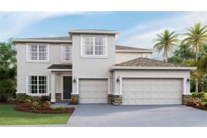 23256 Pachino Way, LUTZ 23256 Pachino Way, LUTZ