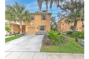 13942 Snapper Fin Ln, TAMPA