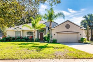 16219 Swenson Ter, LUTZ 16219 Swenson Ter, LUTZ