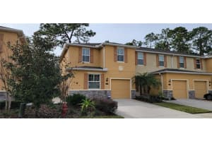 13949 River Willow Pl, TAMPA