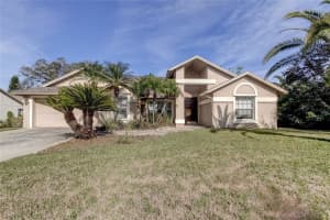 2723 Buckhorn Oaks Dr, VALRICO