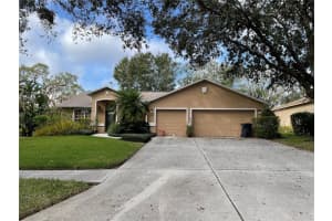 2731 Bent Leaf Dr, VALRICO