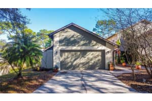 13716 Lazy Oak Dr, TAMPA 13716 Lazy Oak Dr, TAMPA