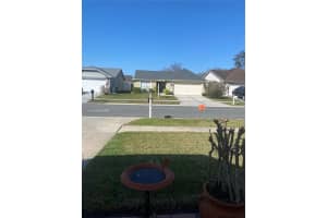 10030 Cedar Dune Dr, TAMPA