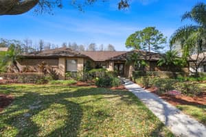14706 Croydon Pl, TAMPA 14706 Croydon Pl, TAMPA