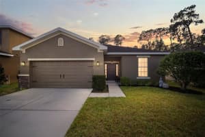 8307 Tidal Breeze Dr, RIVERVIEW