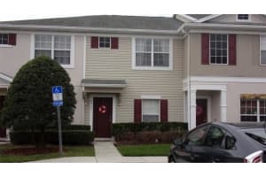 16312 Swan View Cir, ODESSA 16312 Swan View Cir, ODESSA