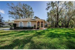 10006 Country Carriage Cir, RIVERVIEW