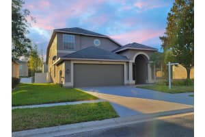 4339 Huddlestone Dr, WESLEY CHAPEL