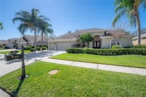 11918 Keating Dr, TAMPA