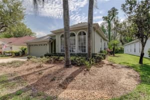 11822 Lancashire Dr, TAMPA