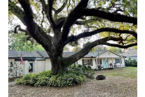 15044 Lake Magdalene Blvd, TAMPA