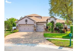 2104 Climbing Ivy Dr, TAMPA