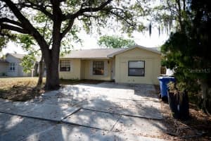 12418 Queensland Ln, TAMPA