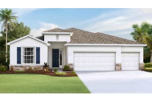 23314 Scaglione Dr, LUTZ 23314 Scaglione Dr, LUTZ