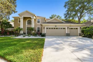 2218 Climbing Ivy Dr, TAMPA