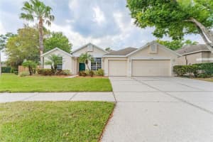 12802 Big Sur Dr, TAMPA