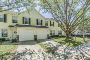 2905 Amber Oak Dr, VALRICO